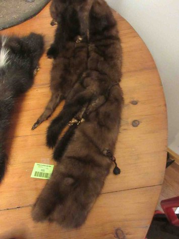 Image for Fur collar