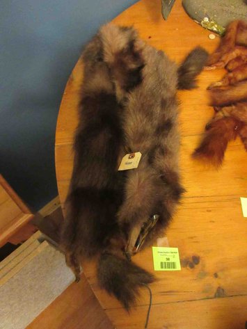 Image for Fur collar