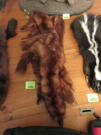 Image for Fur collar