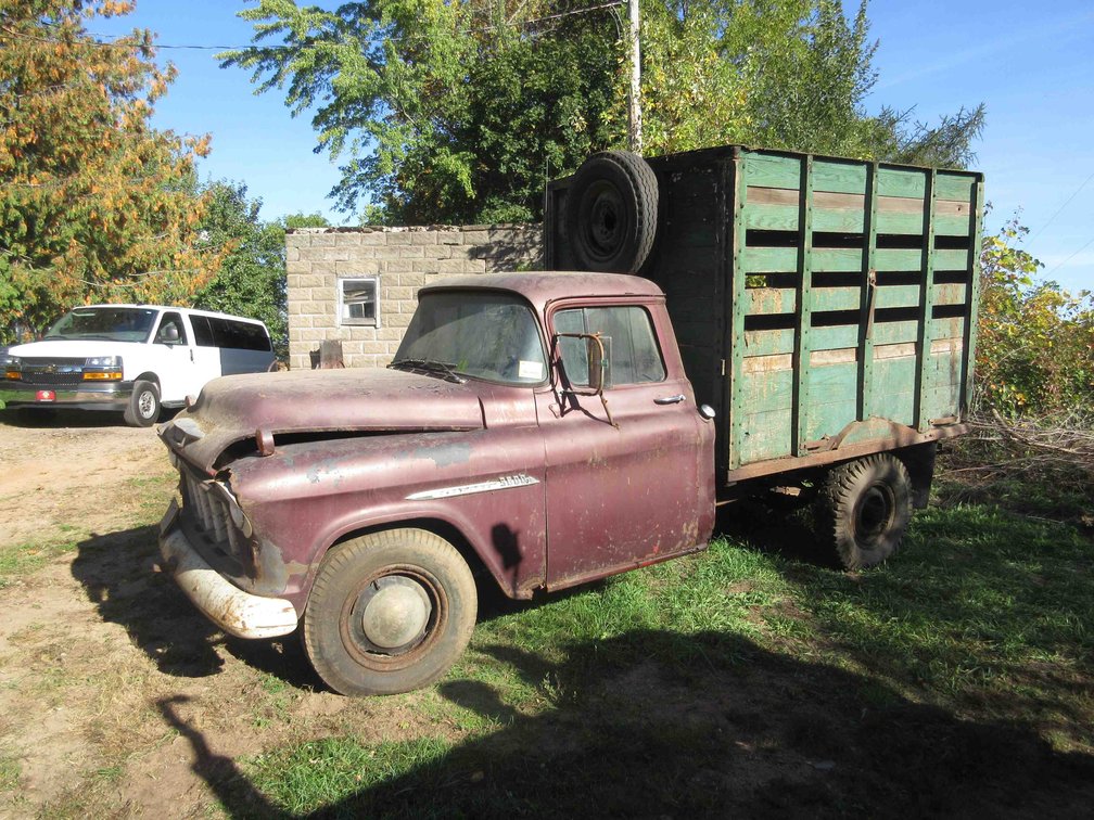 1955 Chevrolet 3800 livestock truck (non-running, no title)