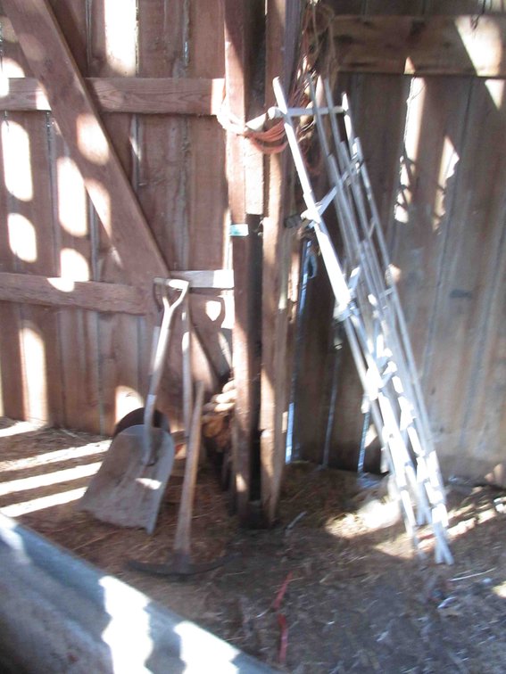 Group of yard tools and trellises
