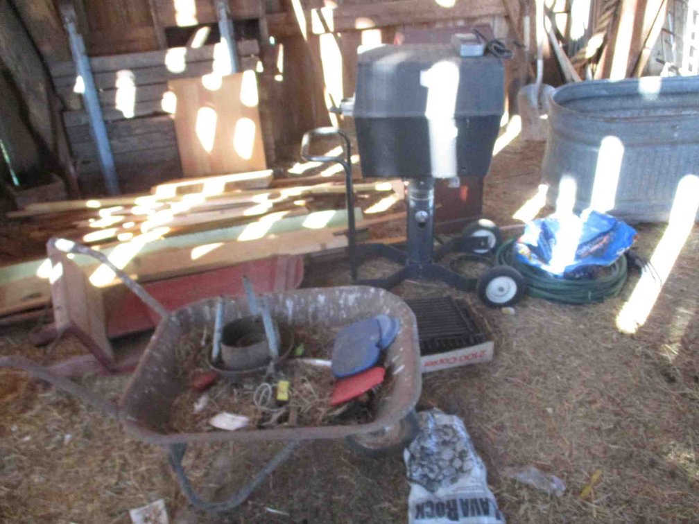 Group in barn