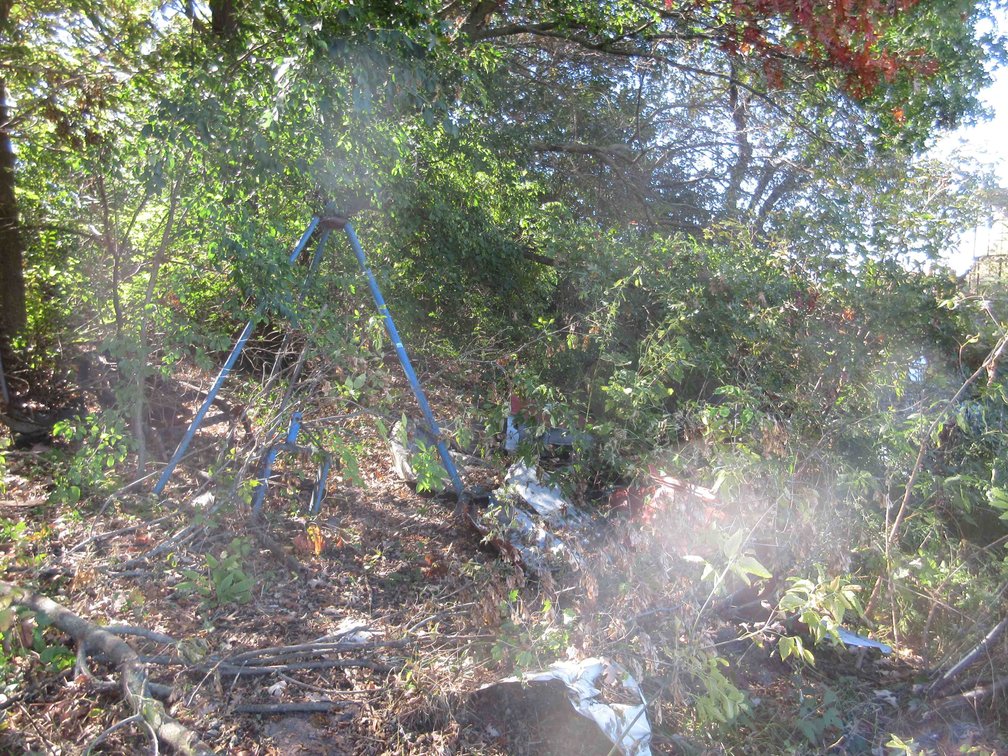 Group of iron in lower trees