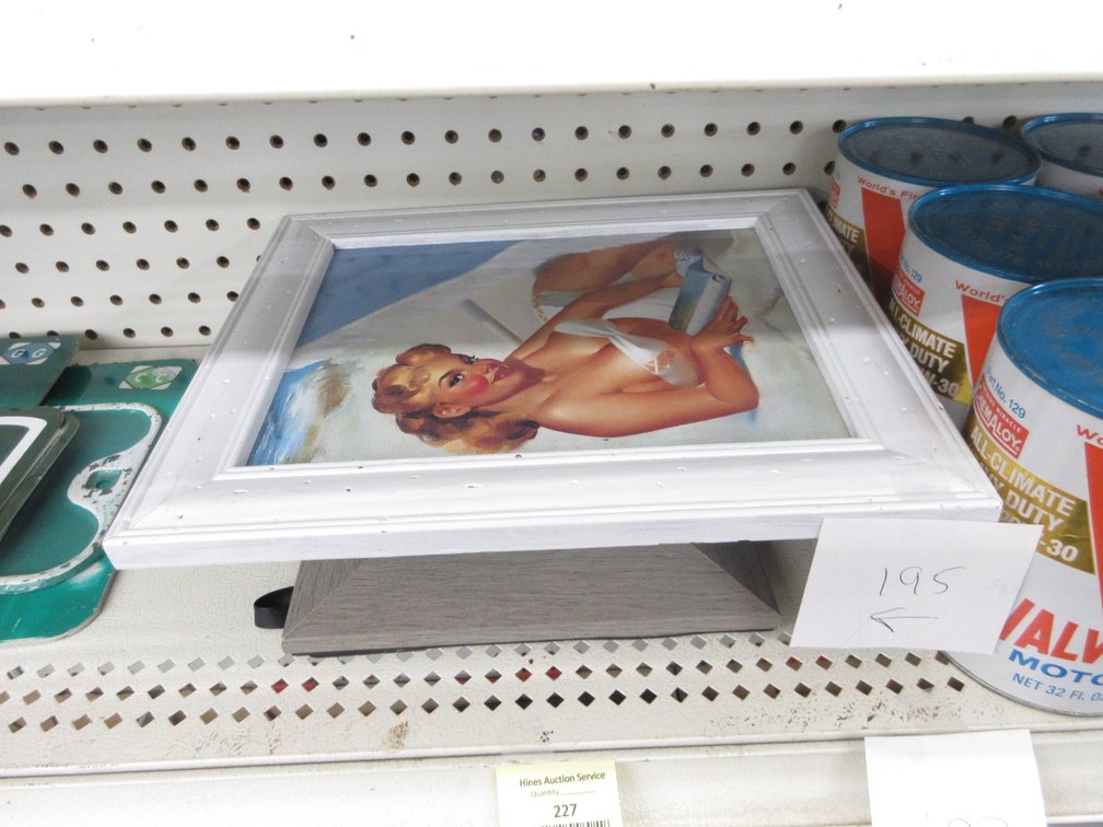 (5) Smaller framed pin-up prints