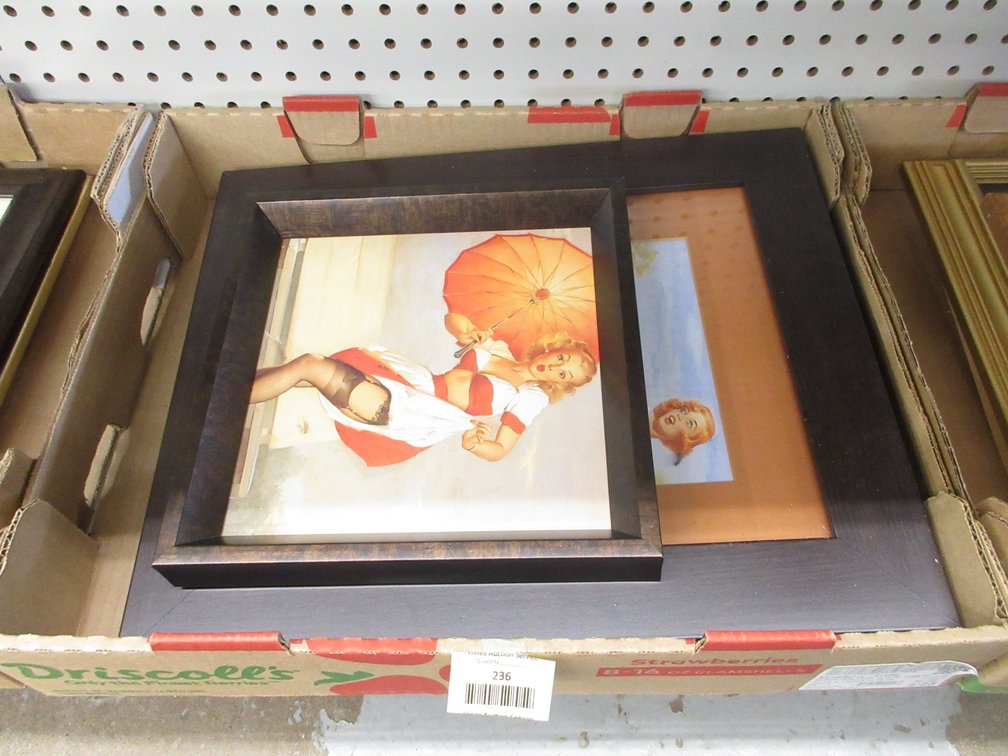 (3) Framed pin-ups