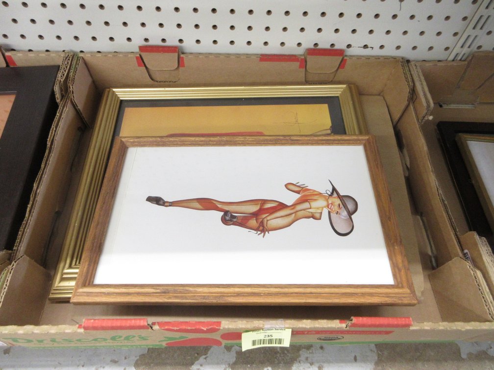 (3) Framed pin-ups