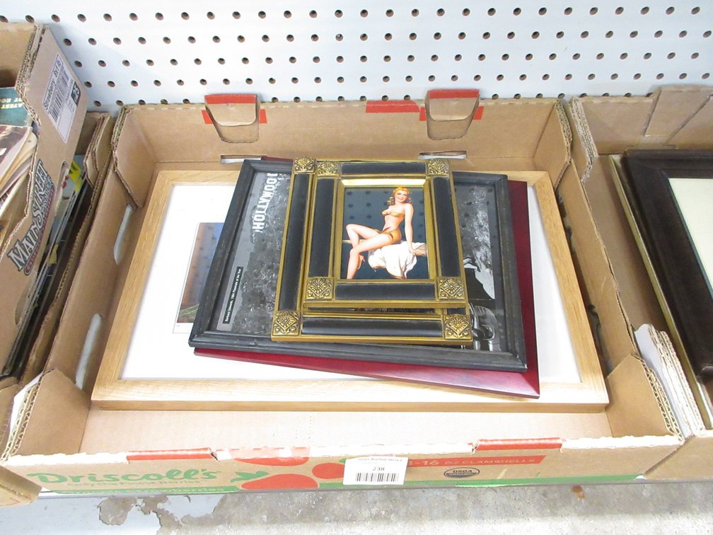 (5) Framed Pin-up prints