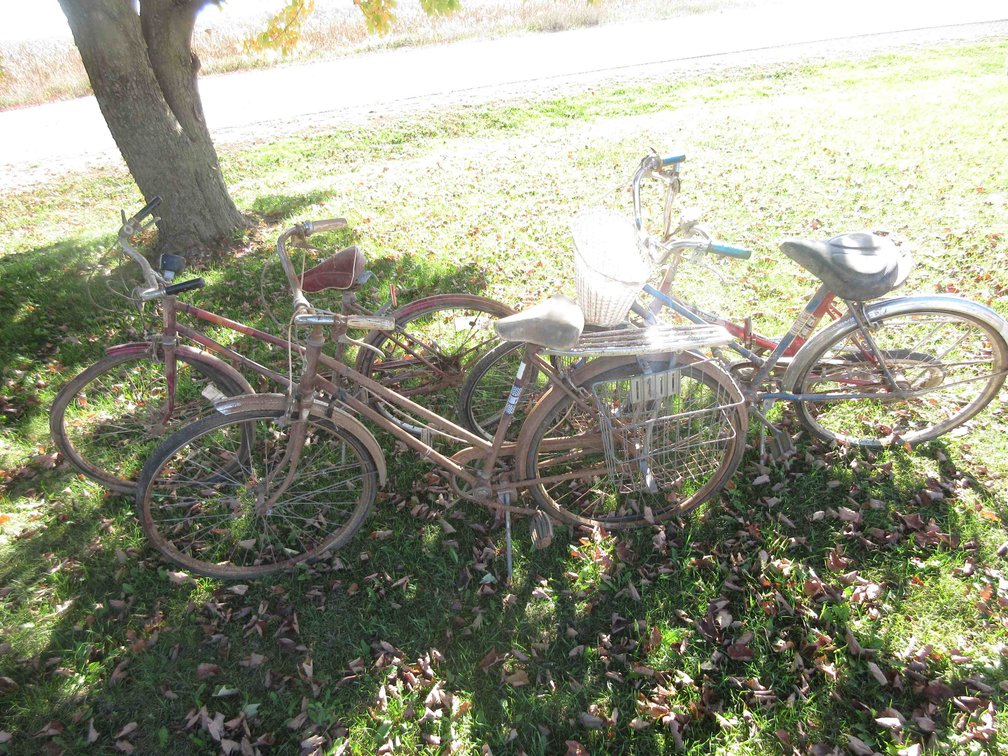 (4) Antique bicycles