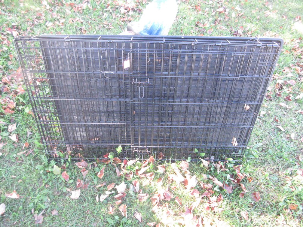 Folding pet crate