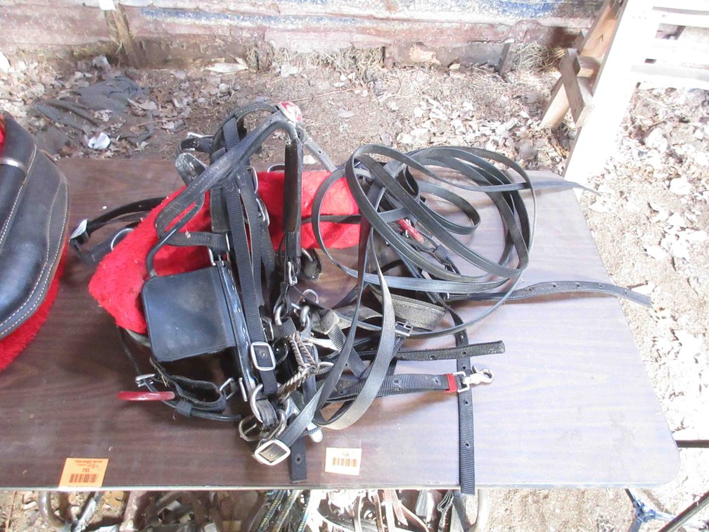 Group of horse tack