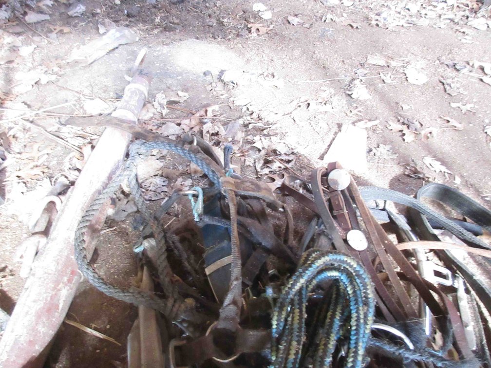Group of horse tack
