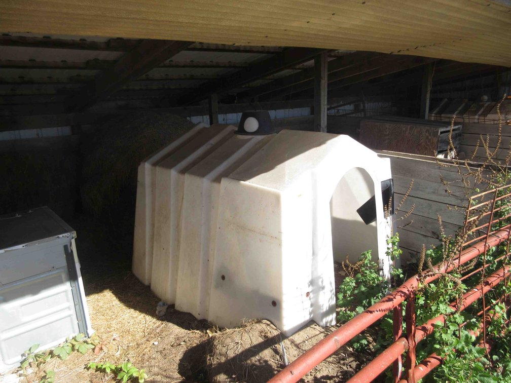 Polysquare calf nursery