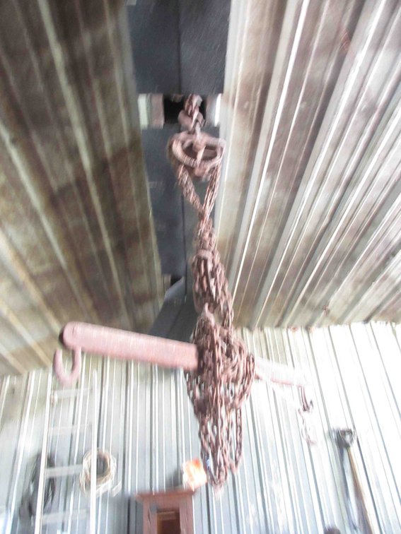 Chain host with evener
