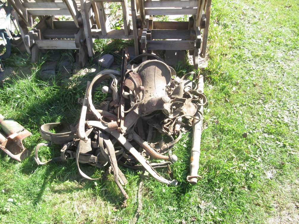 Group of horse tack