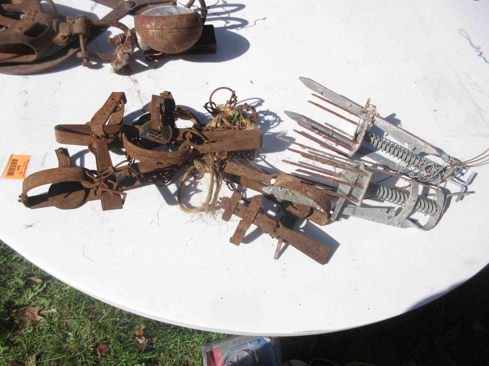 Group of traps