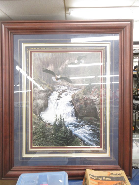 Framed "land of The Free" eagle print