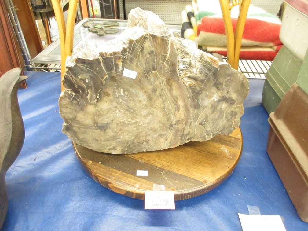 Petrified wood