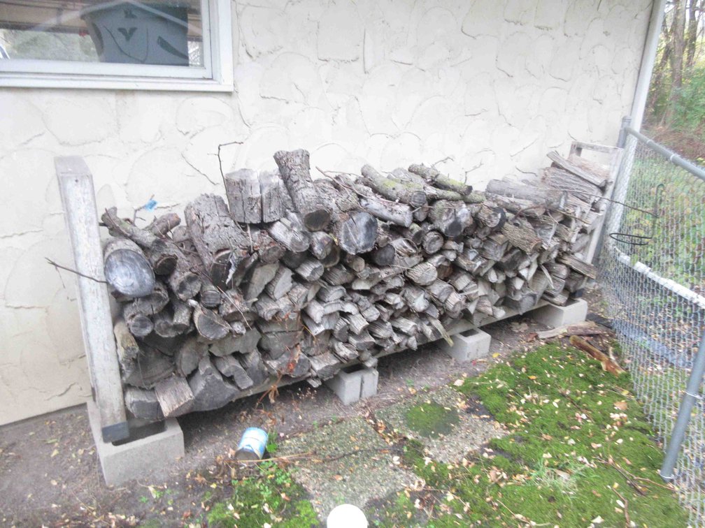 Group of firewood