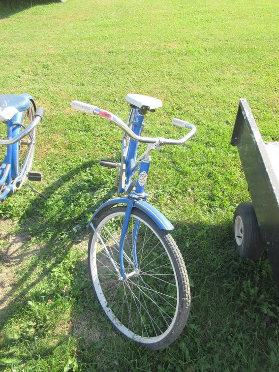 Coast to Coast Firebird adult bike