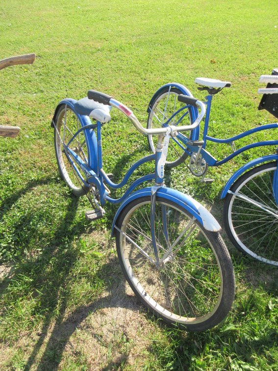 Schwinn Hollywood adult bike