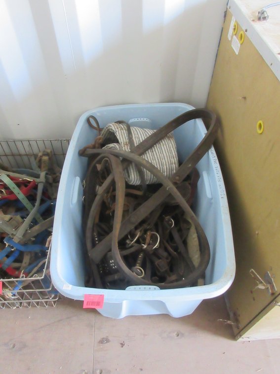 Tote with contents of horse tack