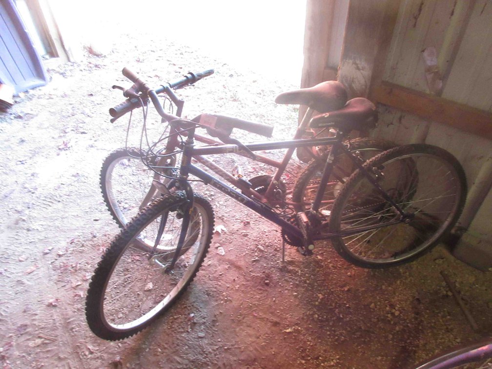 (2) Bicycoles