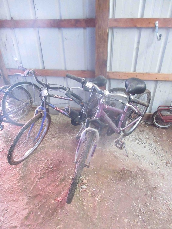 (2) Bicycoles
