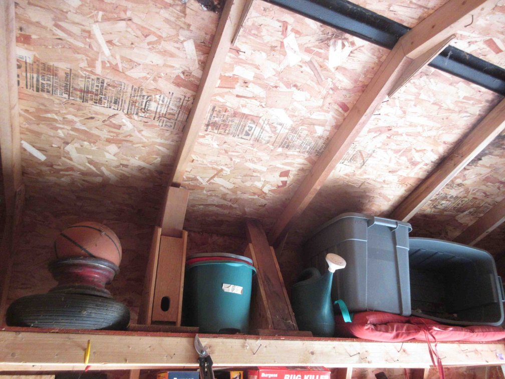 Group on right upper shelf