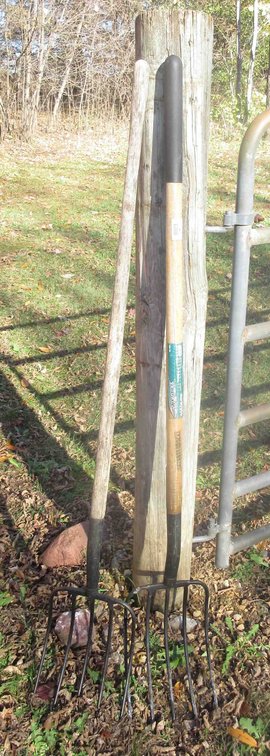 (2) 5-Tine pitch forks
