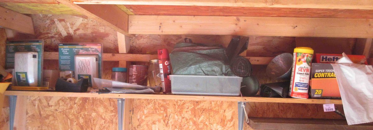 Group on shelf