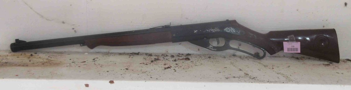 Daisy model 90 BB gun