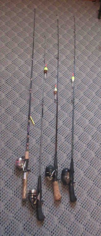 (4) Fishing rods with reels