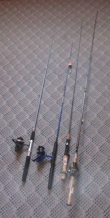 (4) Fishing rods with reels