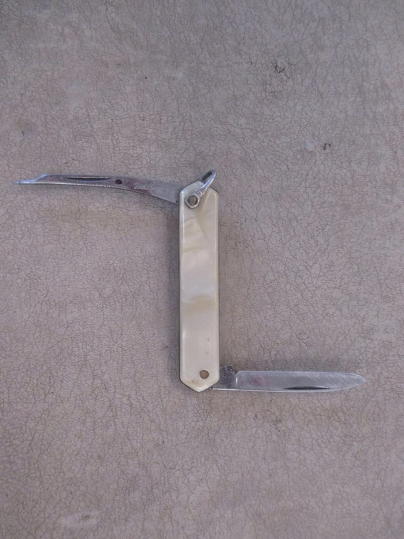 Small celluloid pocketknife