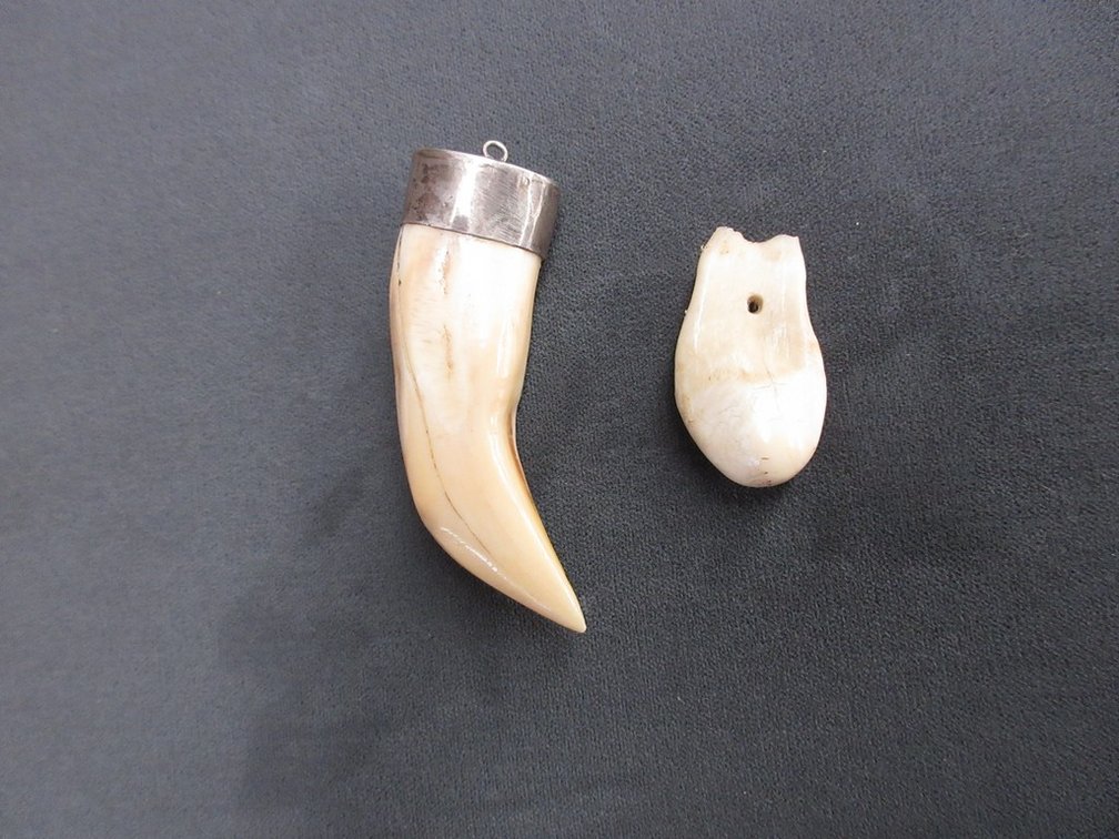 Bone group