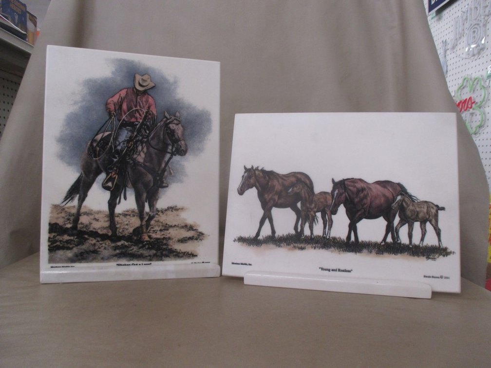 (2) Montana Marble Western painted tiles