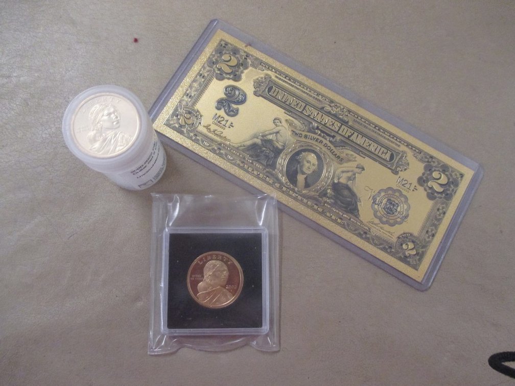 Sacagawea Dollar Group