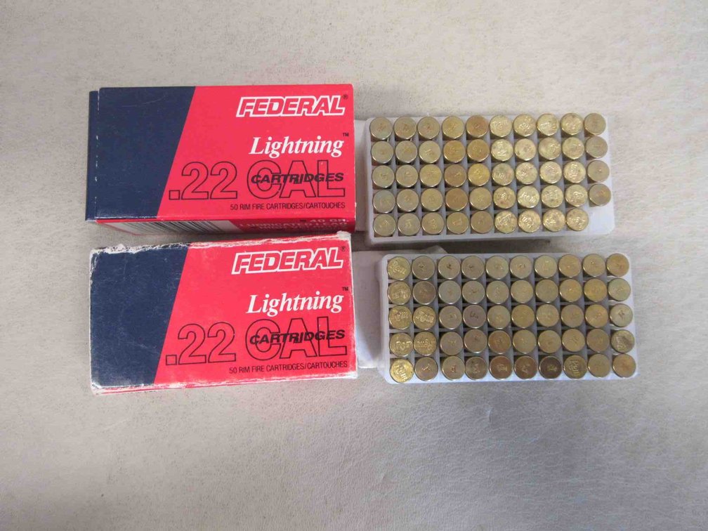 (99) Rounds of Remington and Federal .22LR ammunition