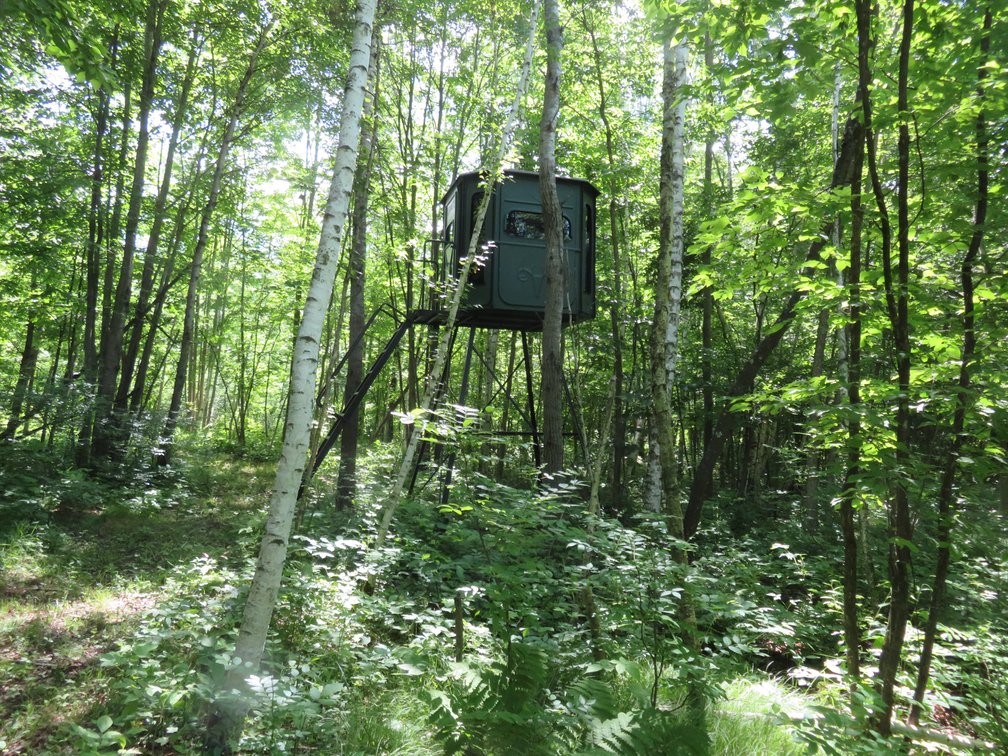 Image for 51+/- Acres of Prime Hunting Land - Absolute Auction
