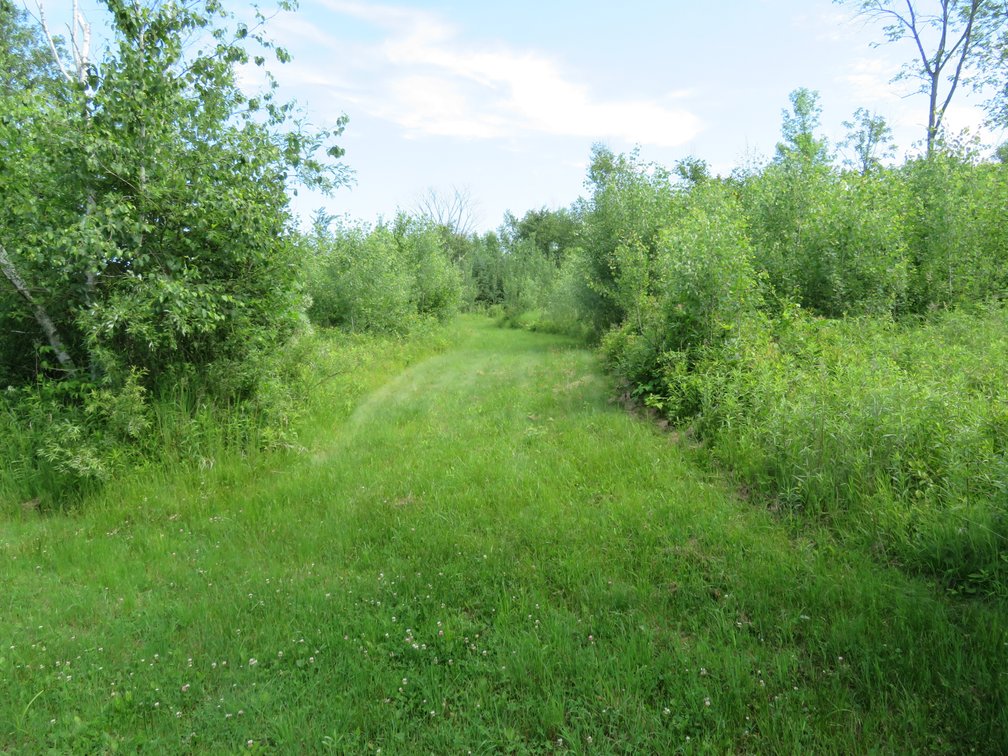 Image for 51+/- Acres of Prime Hunting Land - Absolute Auction