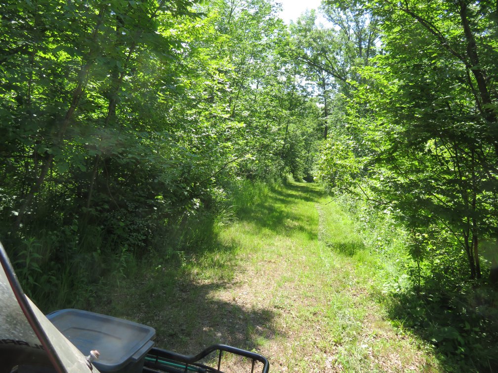 Image for 51+/- Acres of Prime Hunting Land - Absolute Auction