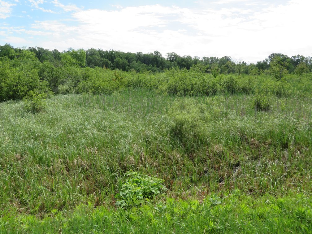Image for 51+/- Acres of Prime Hunting Land - Absolute Auction