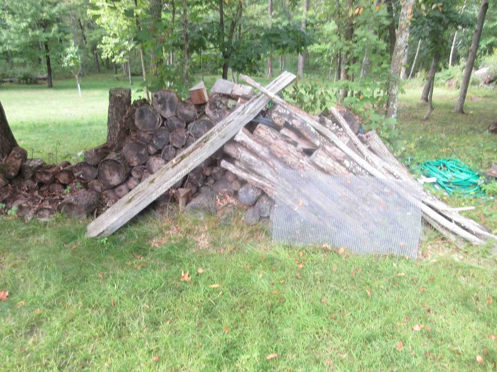 Group of firewood 