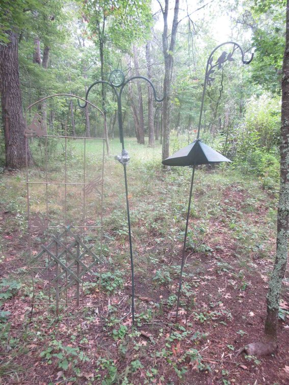 Garden trellis and shepherd hooks