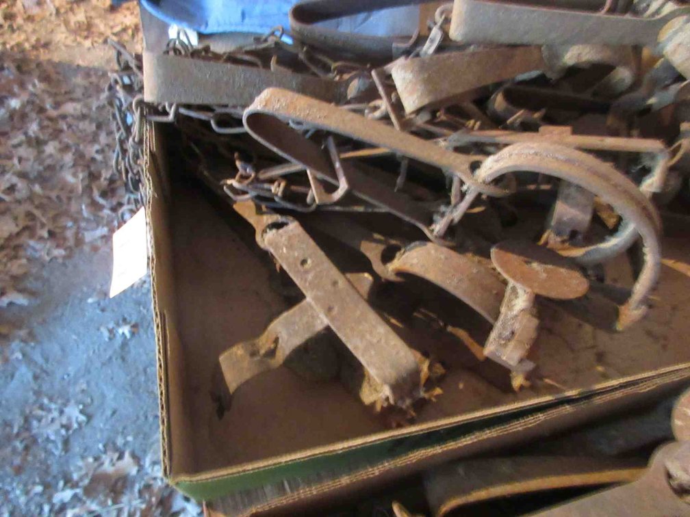 Group of foot hold traps