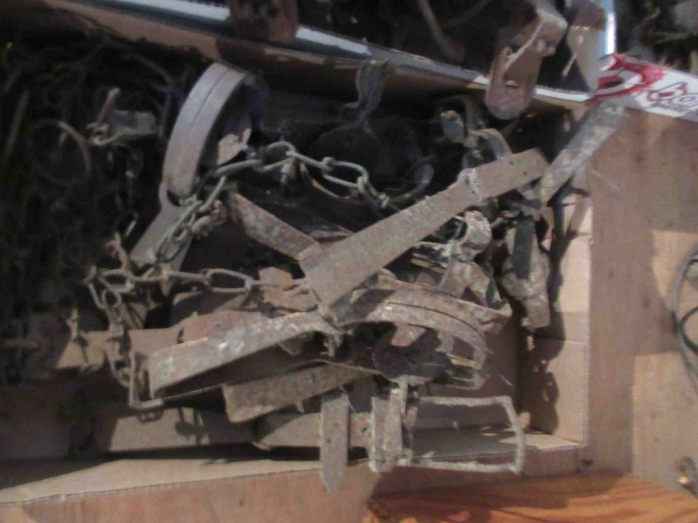 Group of foot hold traps