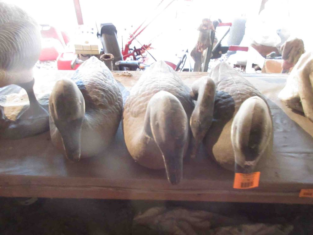 (3) Cardboard goose decoys