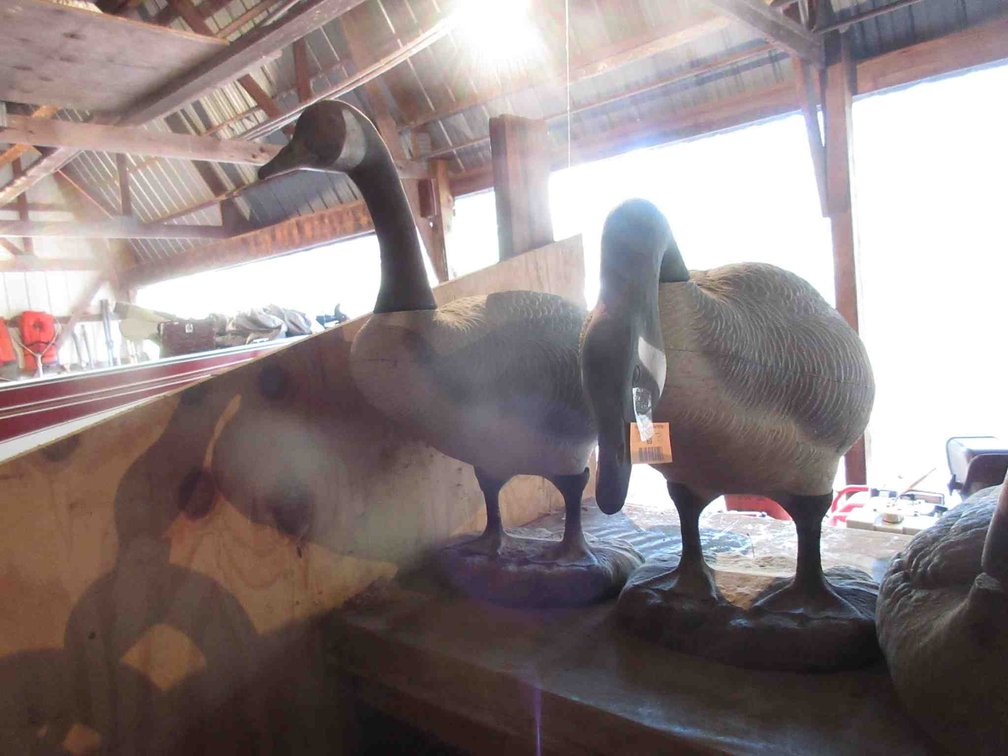 (2) Goose decoys