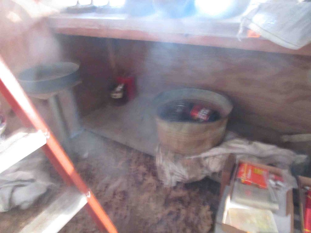 Group in shed