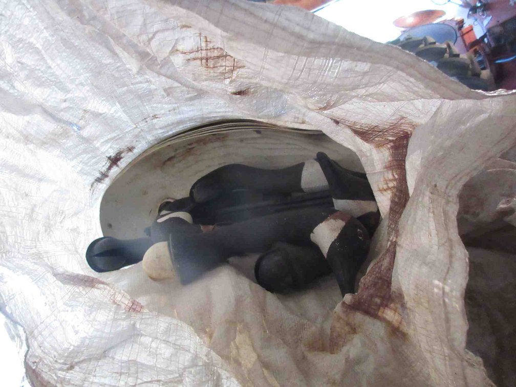 Group of plastic and cardboard goose decoys